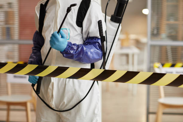 Professional Sewage Cleanup technician working in Mount Vernon, TX